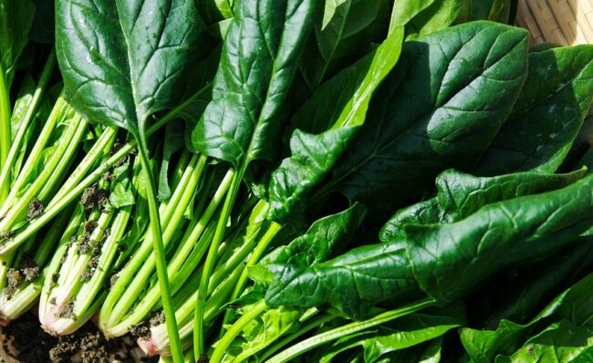 Những Loại Rau Củ Giàu Axit Oxalic Cần Hạn Chế Ăn